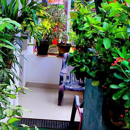 Safari Horizon Udawalawe Bed & Breakfast ภายนอก รูปภาพ