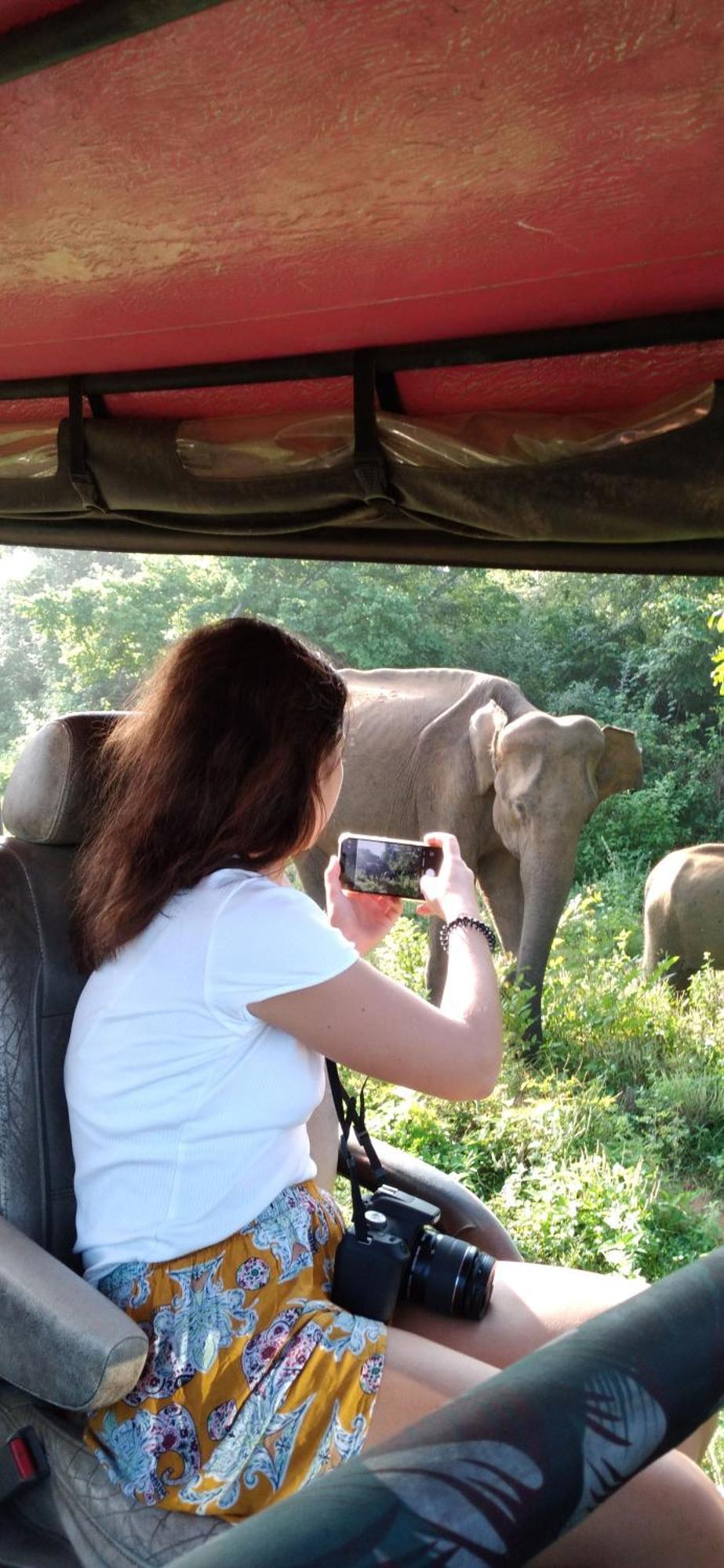 Safari Horizon Udawalawe Bed & Breakfast ภายนอก รูปภาพ