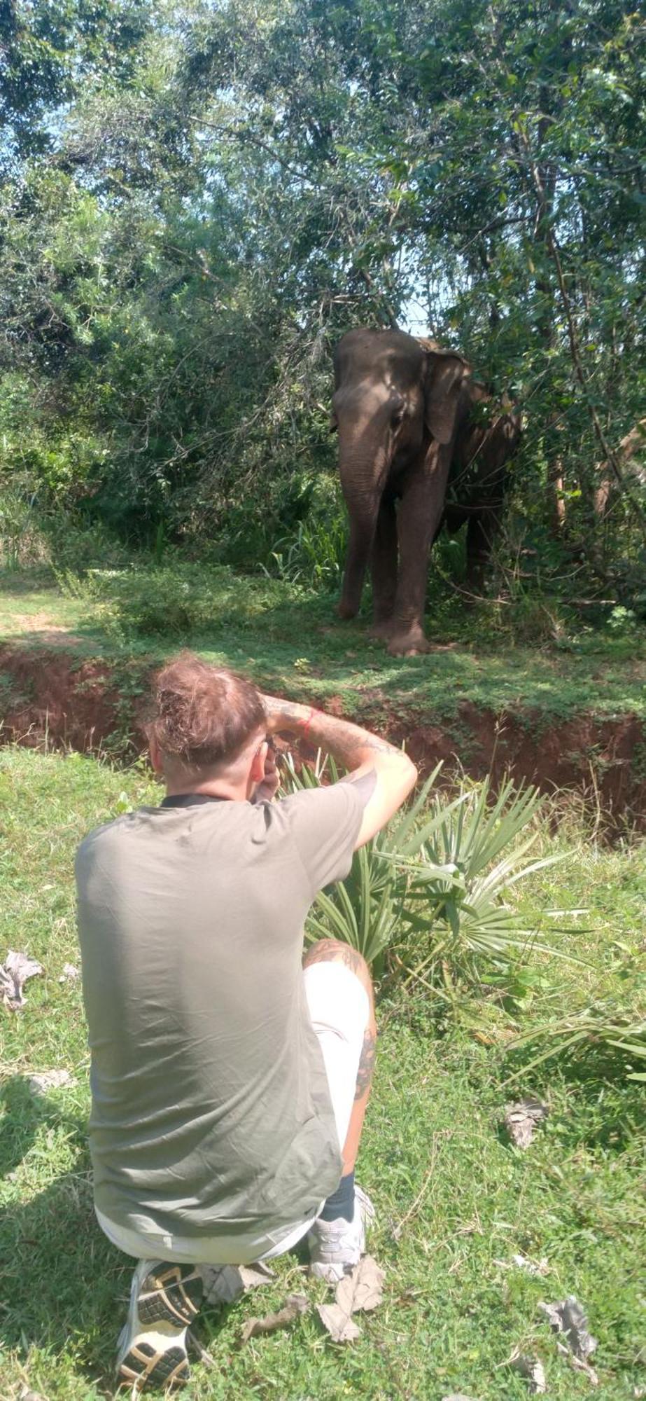 Safari Horizon Udawalawe Bed & Breakfast ภายนอก รูปภาพ