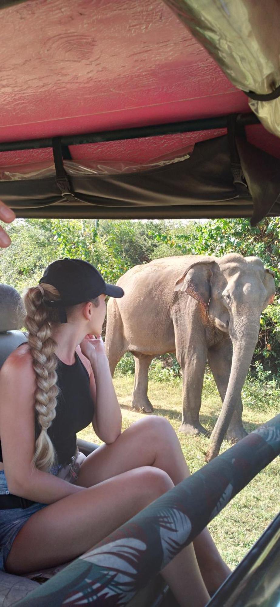 Safari Horizon Udawalawe Bed & Breakfast ภายนอก รูปภาพ