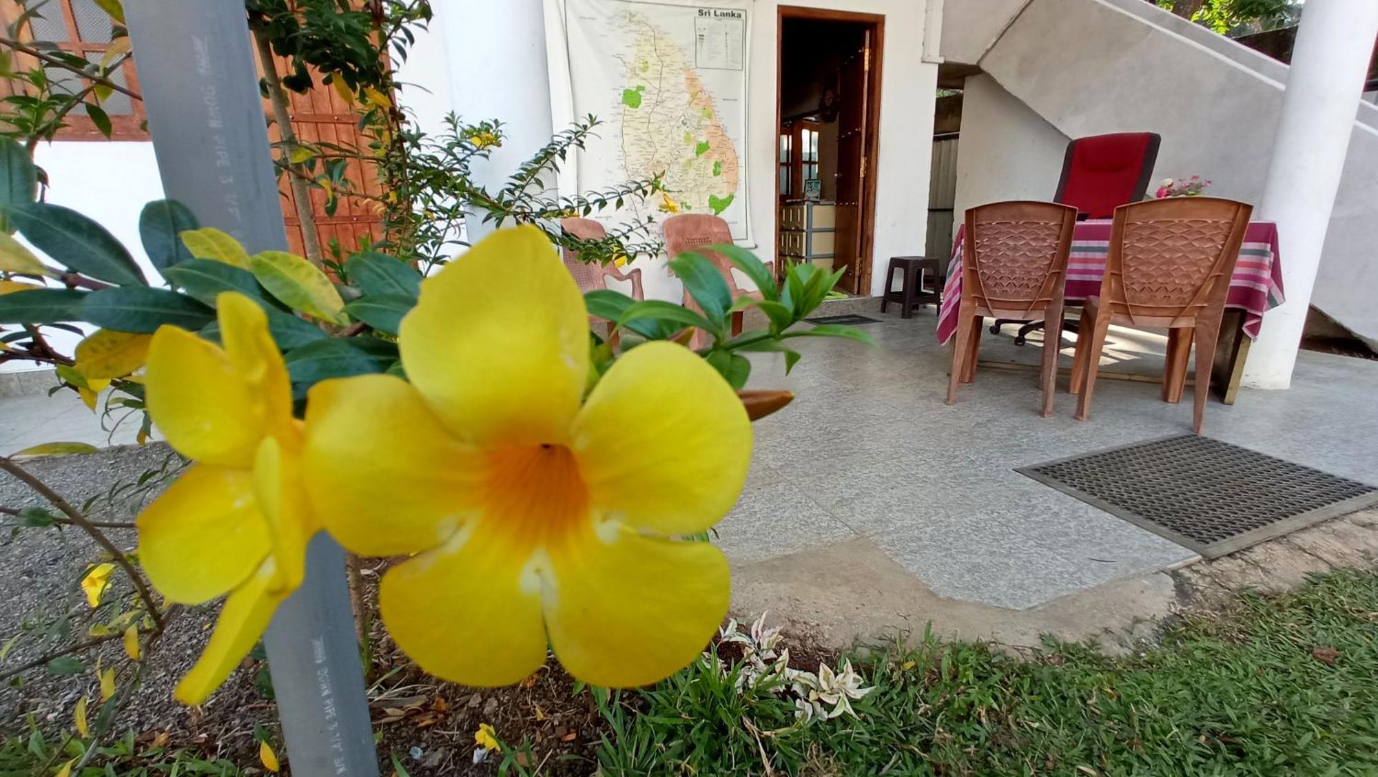 Safari Horizon Udawalawe Bed & Breakfast ภายนอก รูปภาพ