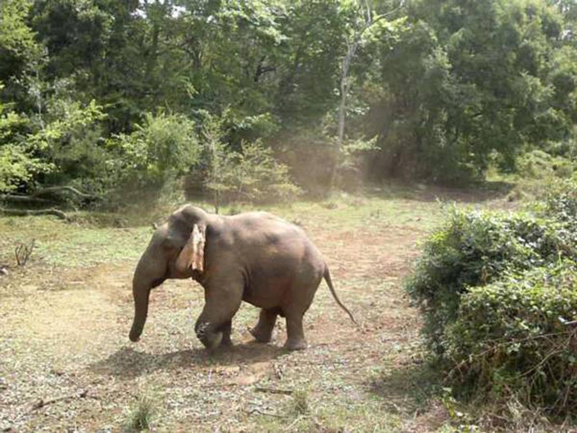 Safari Horizon Udawalawe Bed & Breakfast ภายนอก รูปภาพ