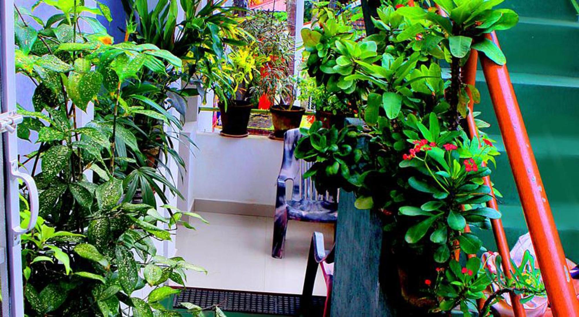 Safari Horizon Udawalawe Bed & Breakfast ภายนอก รูปภาพ